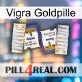 Vigra Gold Pill 12